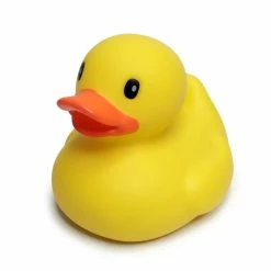 Cheapest ✔️ INFANTINO FUN TIME DUCK 👍