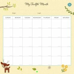 New ❤️ PETER PAUPER BABY'S FIRST YEAR CALENDAR WOODLAND FRIENDS 🎁 -YOKIDOO SALES peter pauper babys first year calendar woodland fr 2