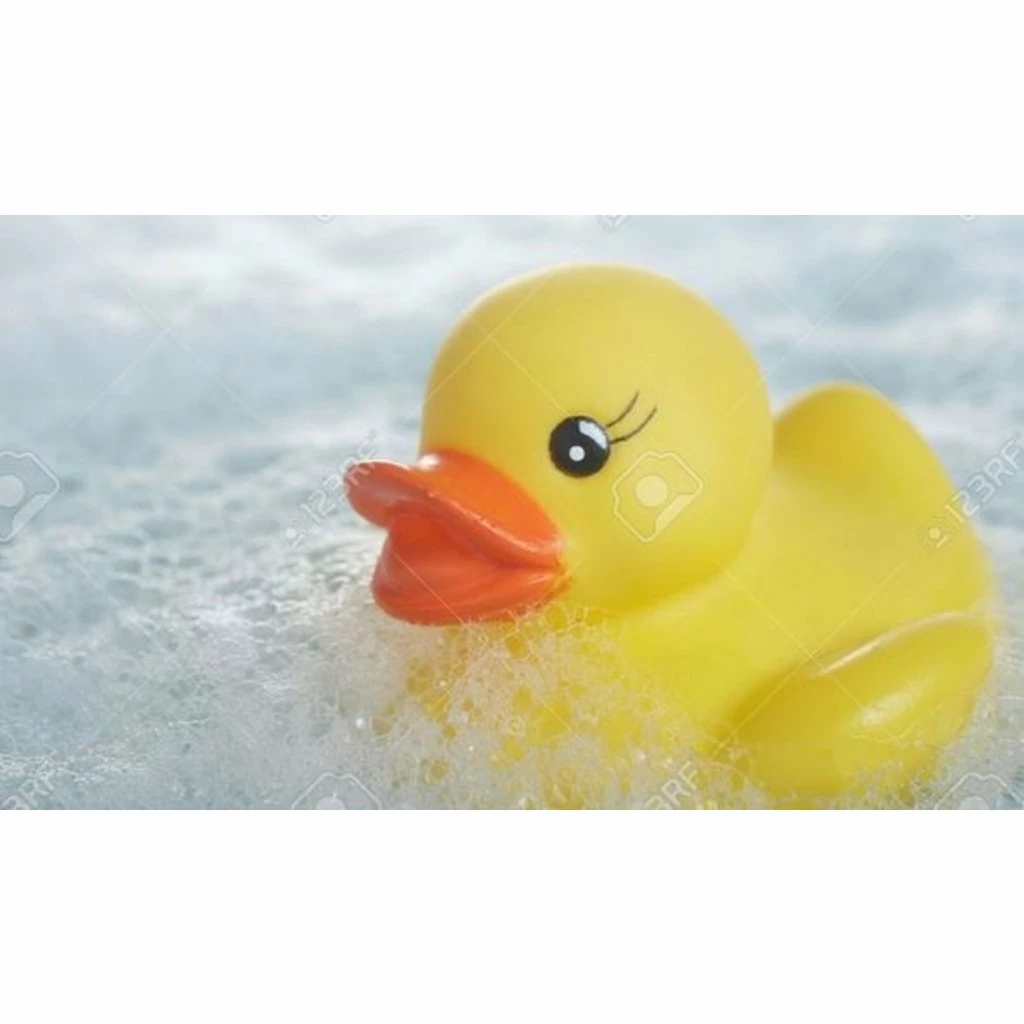 Top 10 π TOYSMITH PULL STRING DUCK π 3 Top 10 π TOYSMITH PULL STRING DUCK π - Image 3