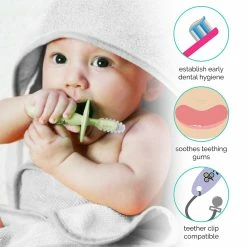 Budget π― ZOLI CHUBBY GUMMY TEETHERS β¨